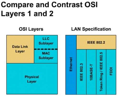 计算机网络 局域网数据链路层原理与技术及其在计算机软硬件开发中的应用